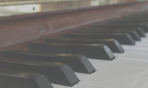 HeaderPict_20001200_KL2A-01-2